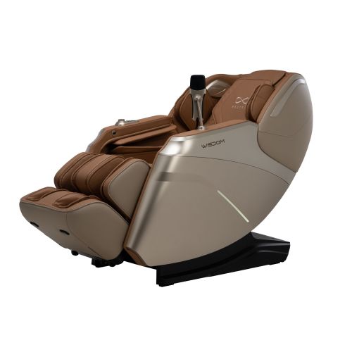 เก้าอี้นวดไฟฟ้า RESTER WISDOM สี Brown