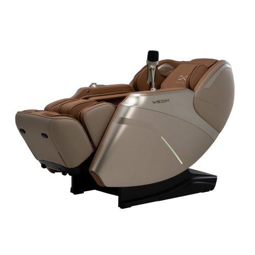 เก้าอี้นวดไฟฟ้า RESTER WISDOM สี Brown